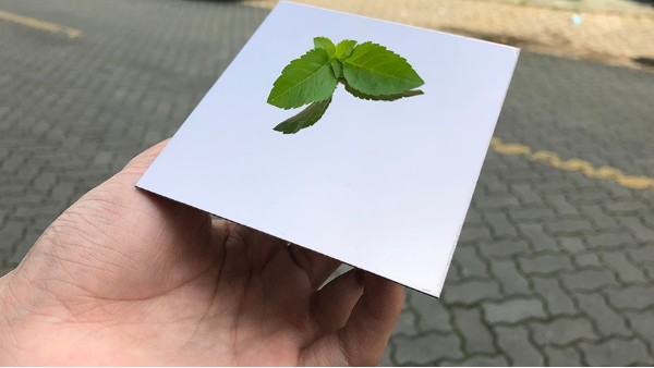 為什么彩色不銹鋼裝飾板會大受歡迎？